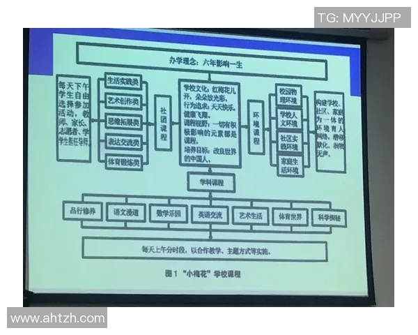北京网球队比赛经验分析与表现评估的综合研究报告
